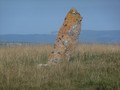 90