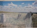 img_2889