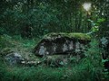 Камень д.Гвозды - оз Кицковское