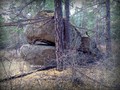 004