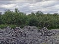 Зона мертвых. Святилище Большого Заяцкого острова