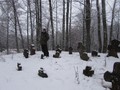 пушкинские горы-