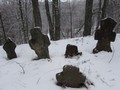 пушкинские горы