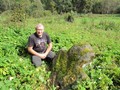 Каменныи? крест. Деревня Навережье. Дедовичскии? раи?он. Псковская обл
