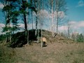 Сопка у д. Княже?во Валдаи?ского раи?она Новгородскои? области