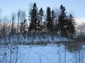 Древнее городище  около дер. Сковородка. Стругокрасненскии? раи?он.