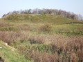 DSCF1076