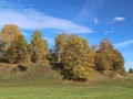 klochkovo-892610