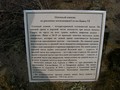 bAV-R-SulpA