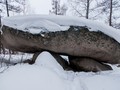 534543