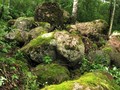 54е54