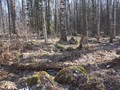 oPKfYf7k3wc