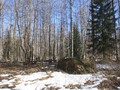 плоскии? камень