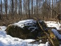 плоскии? камен