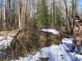 плоскии?