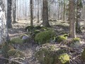 pYsKe1SSzyU