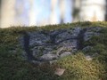 su_g7vMI-g8