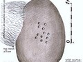 5345
