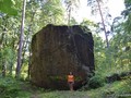 монрепо