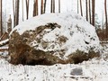 викимапия_