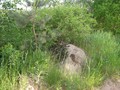 vy076679