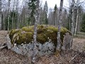 zaborsky-3