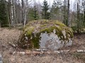zaborsky-4