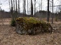 zaborsky-5