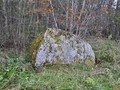 vy097901
