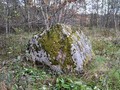 vy097906
