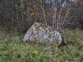 vy097907