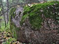 vy108561