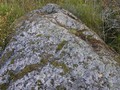 vy056197