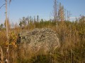 vy079392