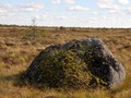 vy097253
