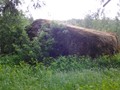 камень-жаба