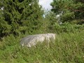 vy067047