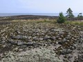 Отрадныи? (Haapaluoto)