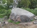 киви3
