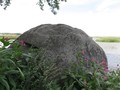 киви6