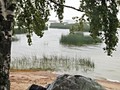 киви7