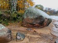 киви8