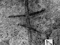 339631_600