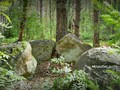 Роговская стража -  Запольское светилище