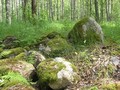 Васьково Псковская область