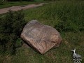 Свагуновскии? камень-чашечник-