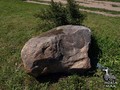 Свагуновскии? камень-чашечник_