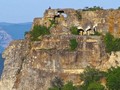 3500
