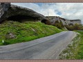 suren-24