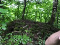 пшенахо_река